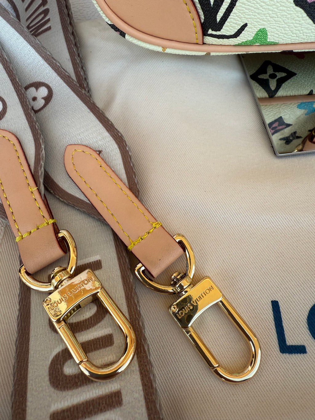 Cartera LV